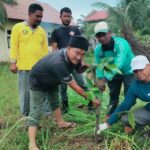 penanaman pohon jurnalis Aceh, aksi jurnalis Aceh, perdamaian Aceh, BRA Aceh Utara, penghijauan Aceh, reintegrasi Aceh, damai Helsinki