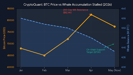 Grafik harga Bitcoin dengan analisis CryptoQuant terkait penurunan kepemilikan whale dan prediksi harga BTC
