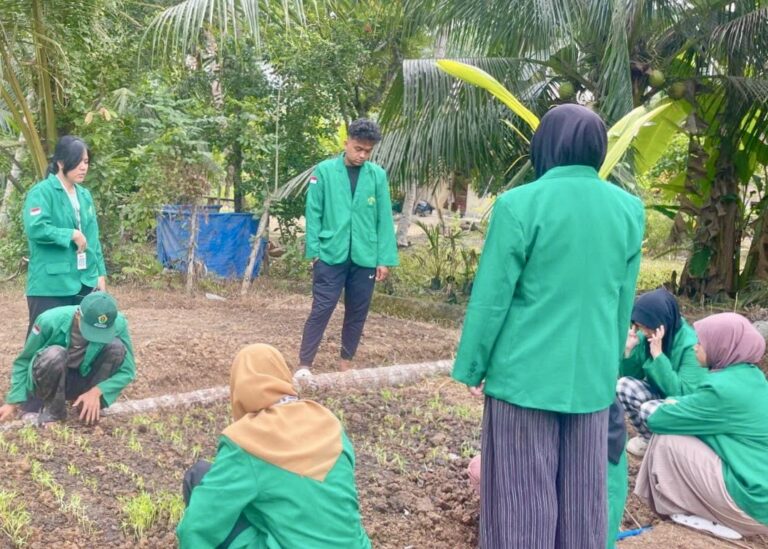 Mahasiswa KKN Unimal dan warga menanam kangkung dan pakcoy di Kuta Makmur